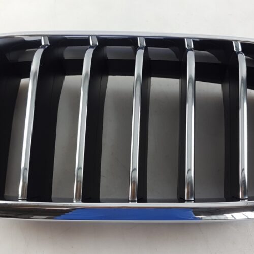 Radiator Grille Insert, 51137316061