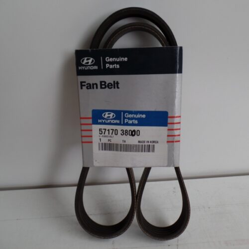V-Belt, 5717038000