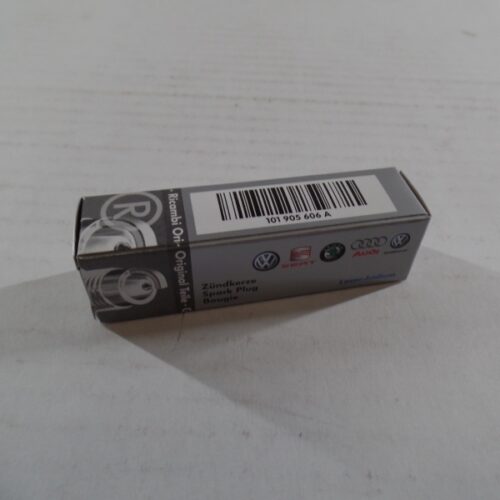 Spark Plug, 101905606A