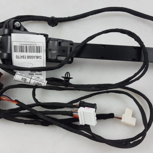 Cable Harness, Door, 1343884080