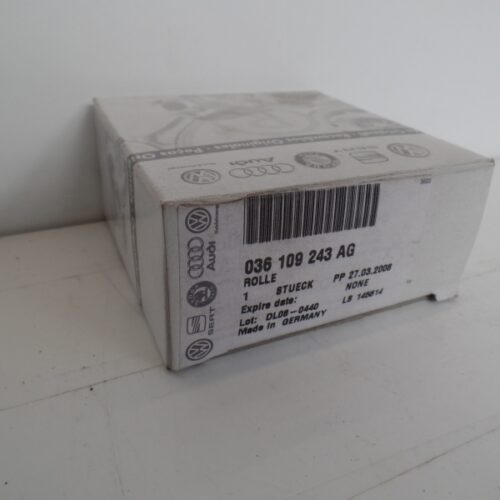 Belt Tensioner/Pulley, 036109243AG