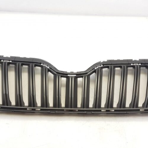 Radiator Grille, 5L0853668B9B9