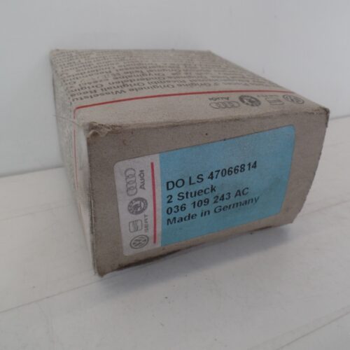 Belt Tensioner/Pulley, 036109243AC