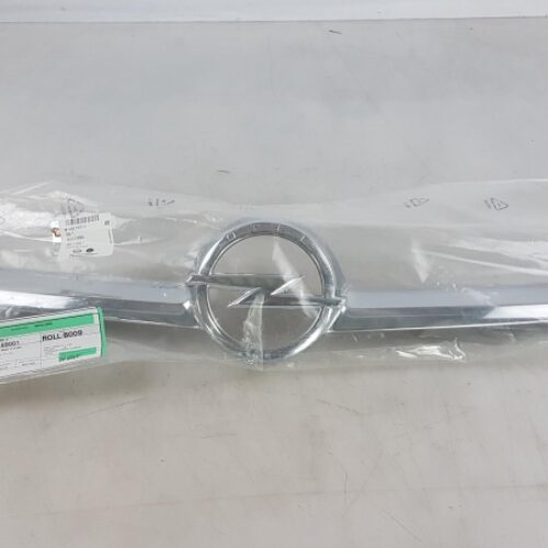 Trim/Protective Strip, Radiator Grille, 13419812