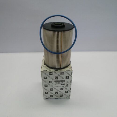 Fuel Filter, 1906E5
