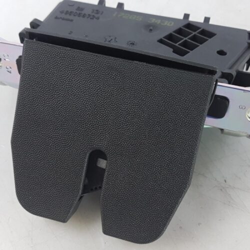 Tailgate Lock, 13117285