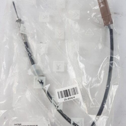 Sensor, Exhaust Gas Temperature, 1618LW