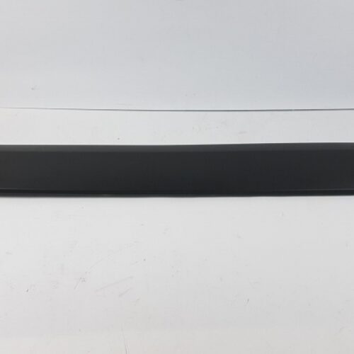 Trim/Protective Strip, Door, A90669037009B51