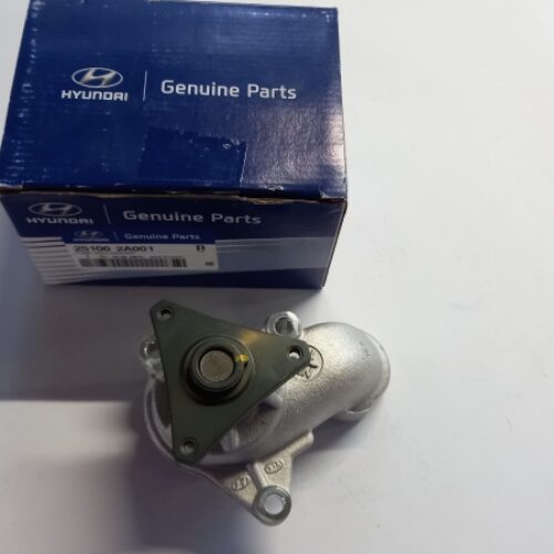 Water Pump, 251002A001