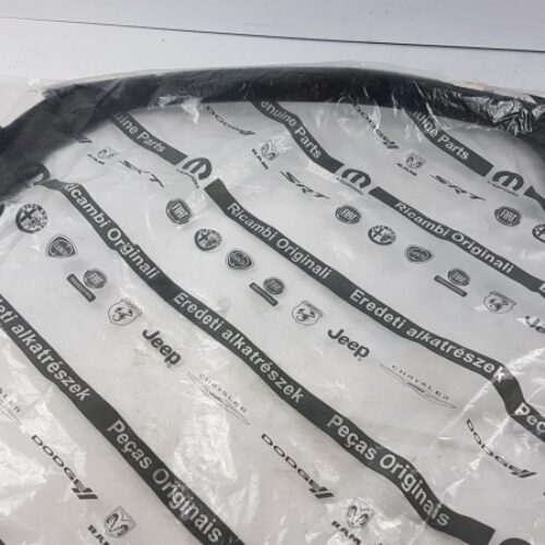 Seal, Door Window, 51884149