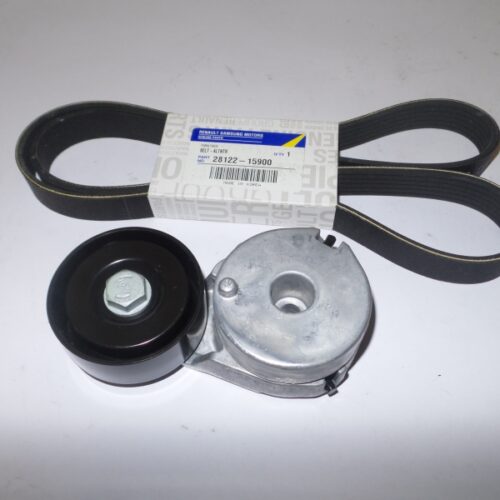 V-Belt Kit, 117201759R