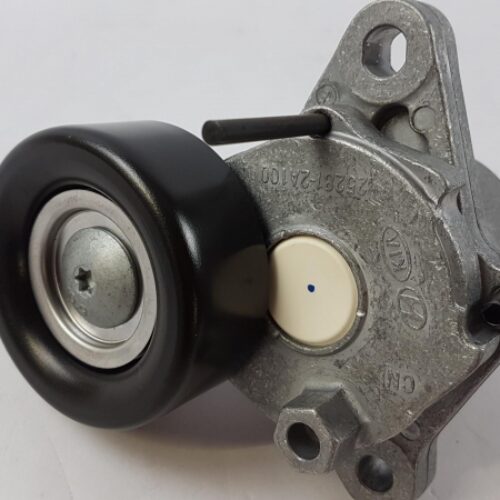 Belt Tensioner/Pulley, 252812A100