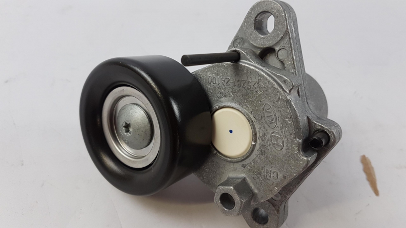 Belt Tensioner/Pulley, 252812A100