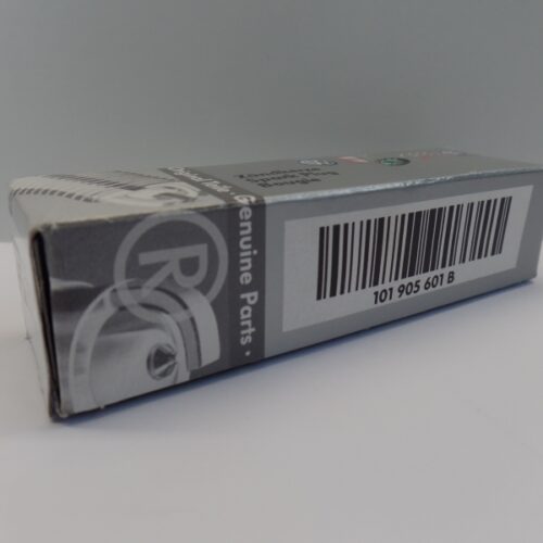 Spark Plug, 101905601B