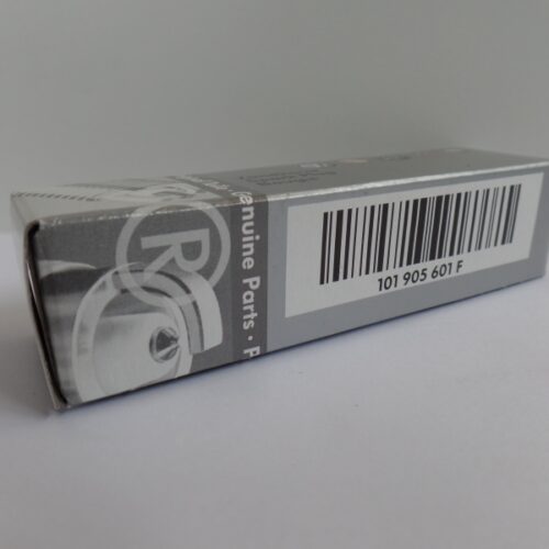 Spark Plug, 101905601F