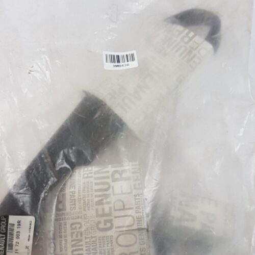 V-Belt Kit, 117200319R