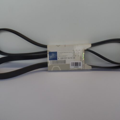 V-Belt, A008997369264