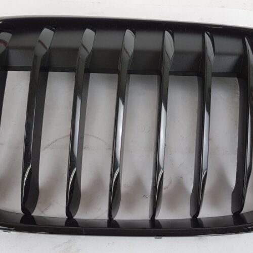 Radiator Grille Insert, 51712407733