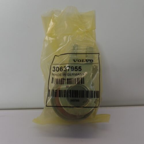 Belt Tensioner/Pulley, 30637955