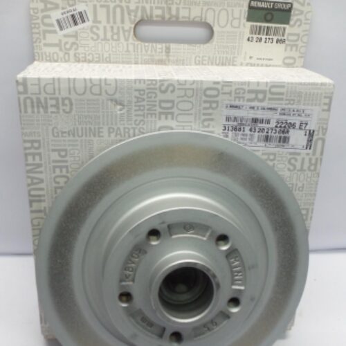 Brake Disc (1pc), 432027306R