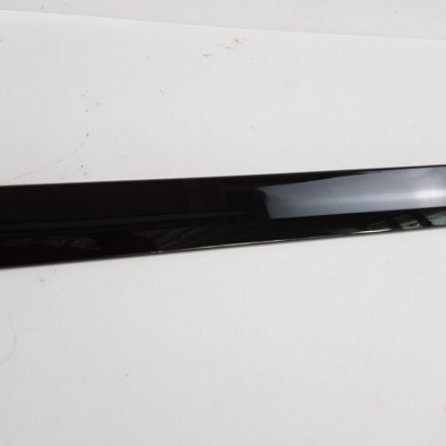 Trim/Protective Strip, Door, A21169012629040
