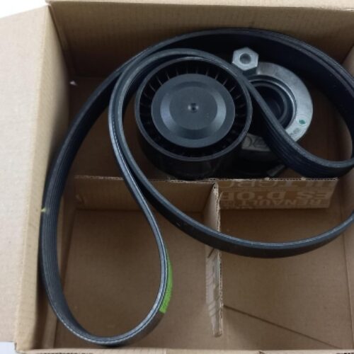 Timing Belt Kit, 117204246R