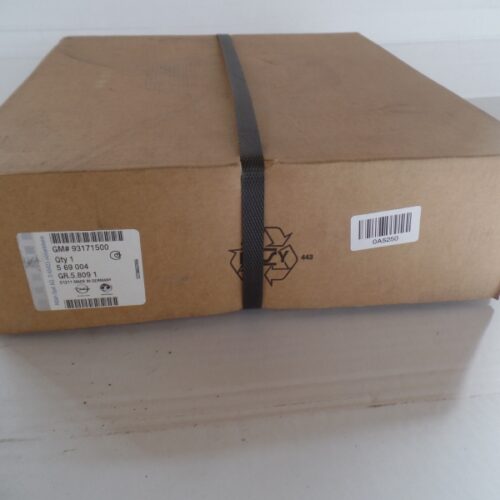 Brake Disc Set (2pc), 93171500