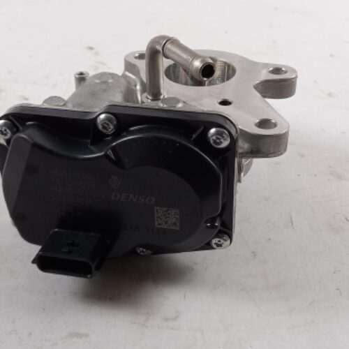 EGR Valve, 147103921R