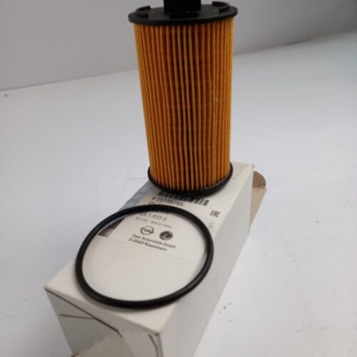 Oil Filter, 25195785