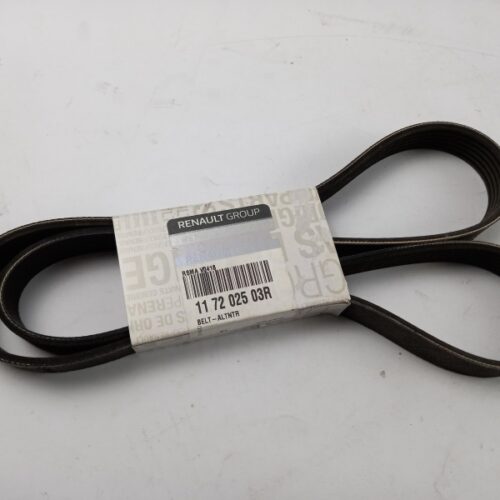 V-Belt, 117202503R
