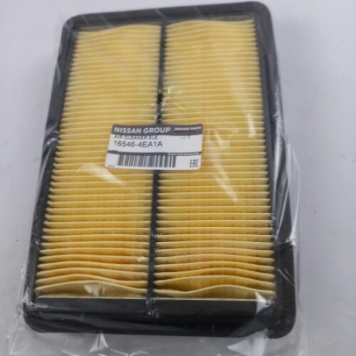 Air Filter, 165464EA1A