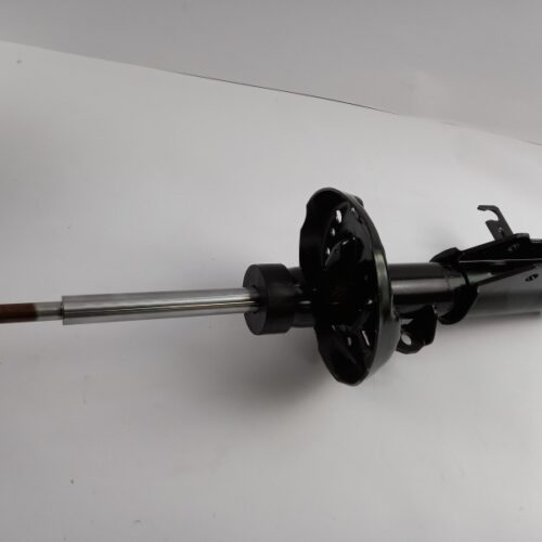 Shock Absorber, 13245967