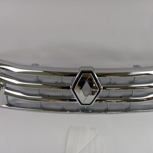 Radiator Grille, 623825665R