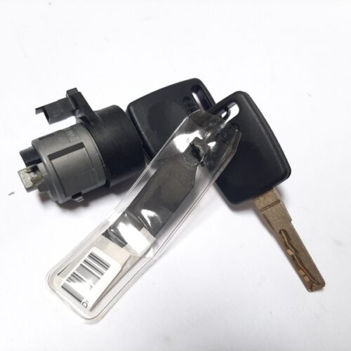 Lock Cylinder, Ignition Lock, 4D0905855G