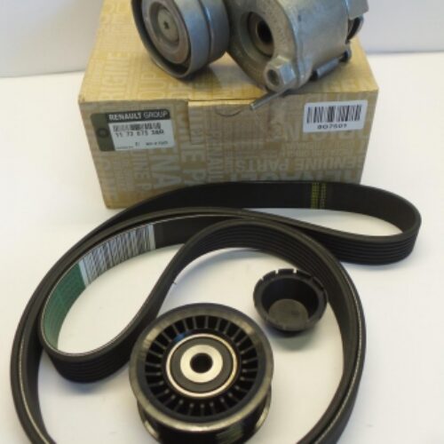 V-Belt Kit, 117207538R