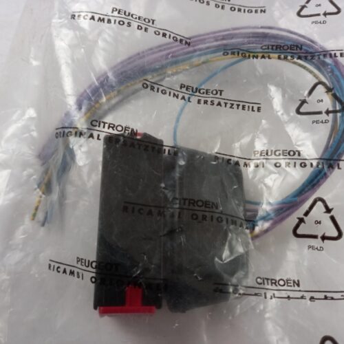 Plug Housing, 6542WC