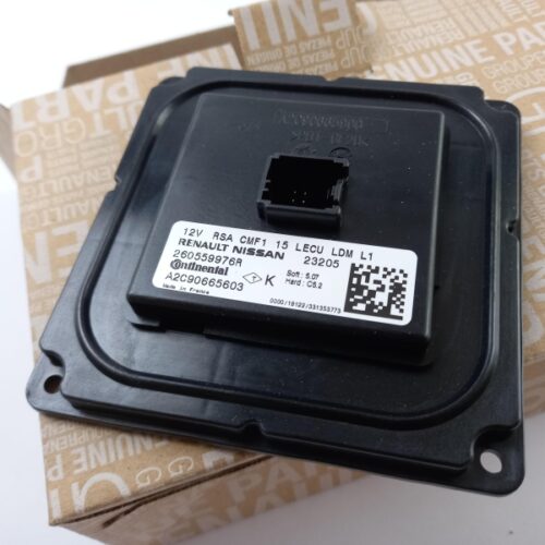 Control Unit, Lights, 260559976R