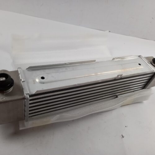 Intercooler, Charger, 281904A101