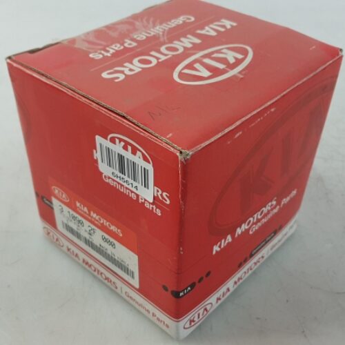 Fuel Filter, 310902F000