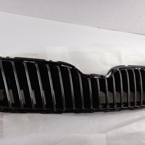 Radiator Grille, 3T0853668C9B9