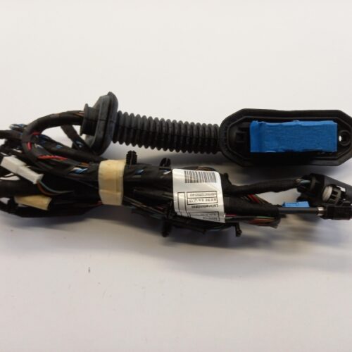 Cable Harness, Door, 61129242074