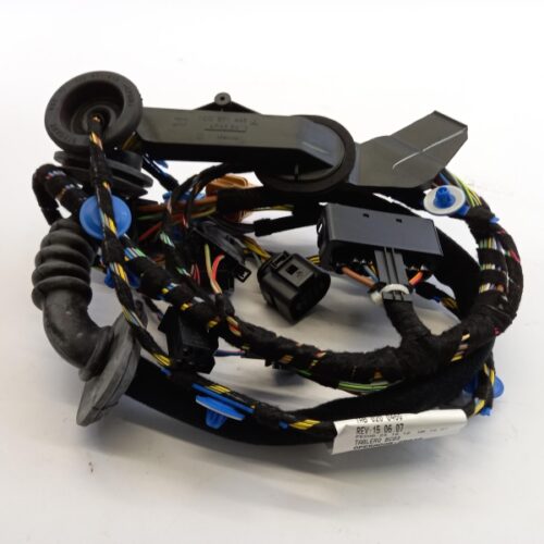 Cable Harness, Door, 1C1971121BA