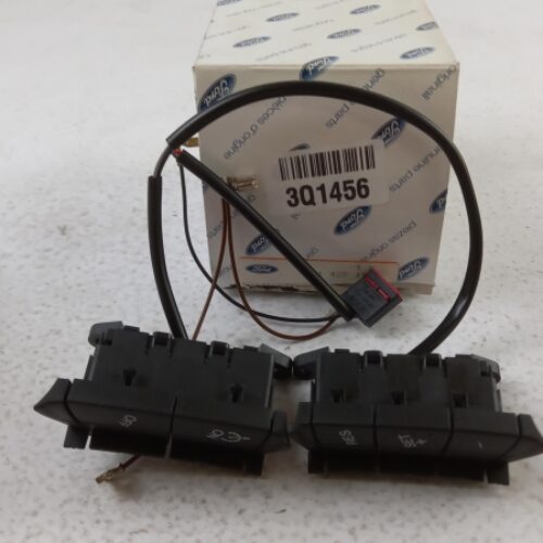 Control Switch, Cruise Control, 1425196