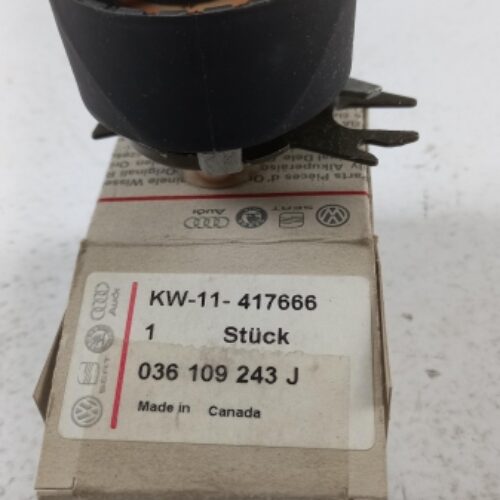 Belt Tensioner/Pulley, 036109243J
