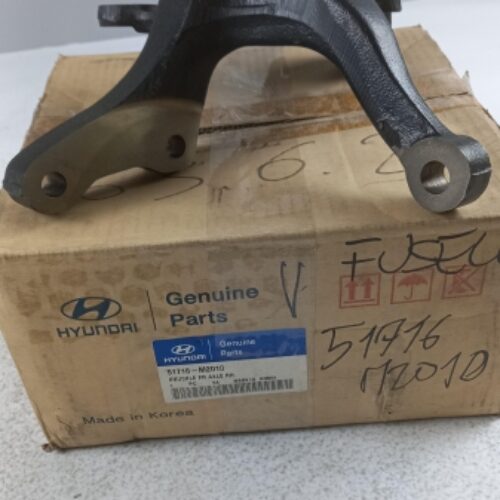 Steering Knuckle, 51716M2010