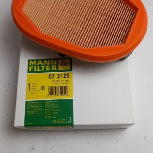 Secondary Air Filter, CF2125