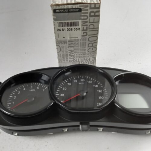 Instrument Cluster, 248100805R
