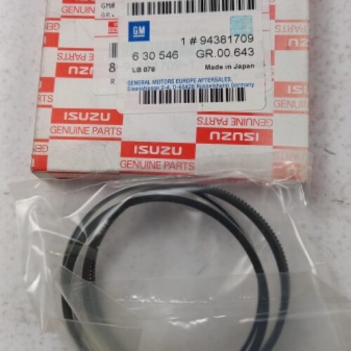 Piston Ring Kit, 94381709
