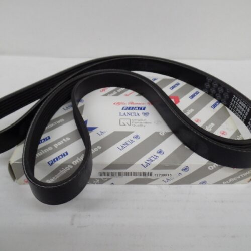 V-Belt, 71739915