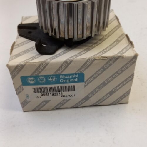 Belt Tensioner/Pulley, 55192239